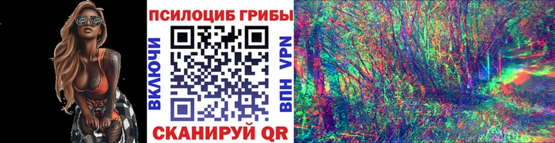 Псилоцибиновые грибы Magic Shrooms Биробиджан